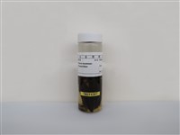 藏品(麻雀)的圖片